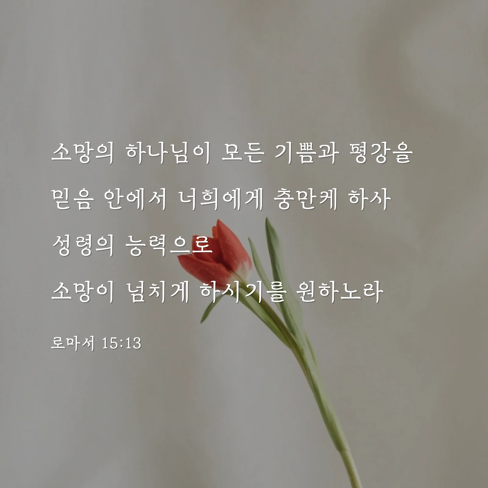 성경말씀 착착으로 만든 정사각형 말씀 카드 이미지 4